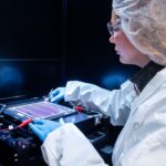 Witness the Spectacle: Millions of Red Crabs Begin Their Annual Migration on Christmas Island